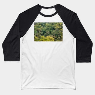 Aerial view of rainforest canopy Baseball T-Shirt